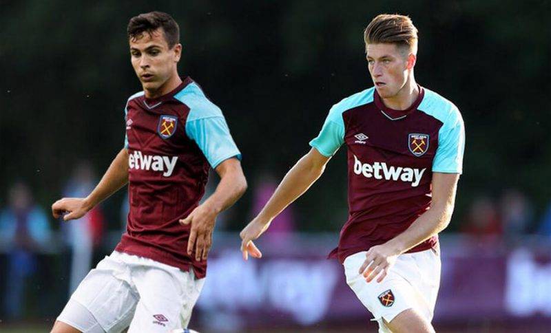 早已适应这 早已适应这